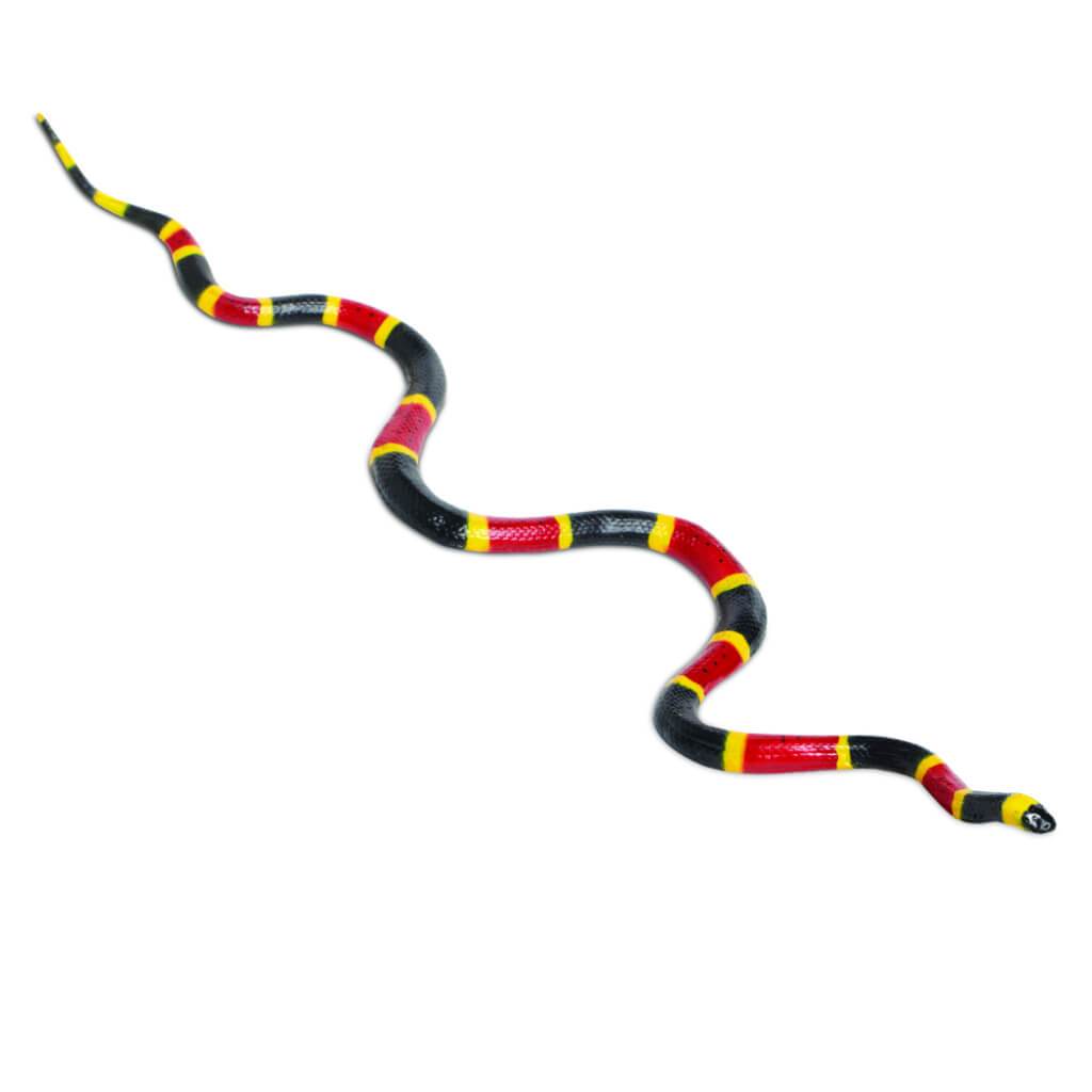 Coral Snake 