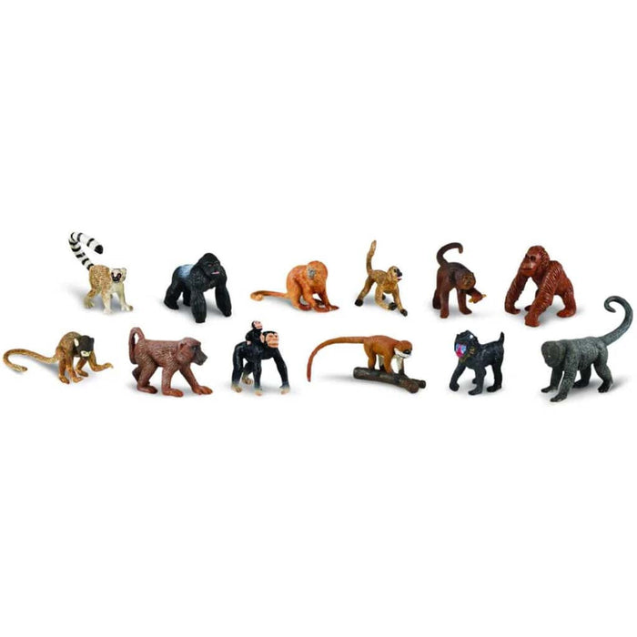 Monkeys & Apes 