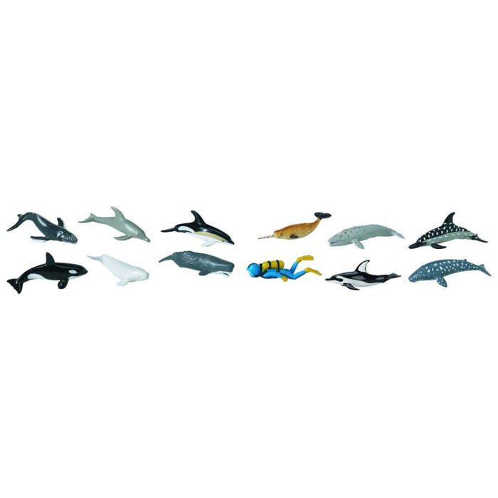 Whales & Dolphins 