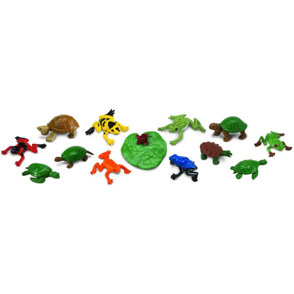 Frogs &amp; Turtles 