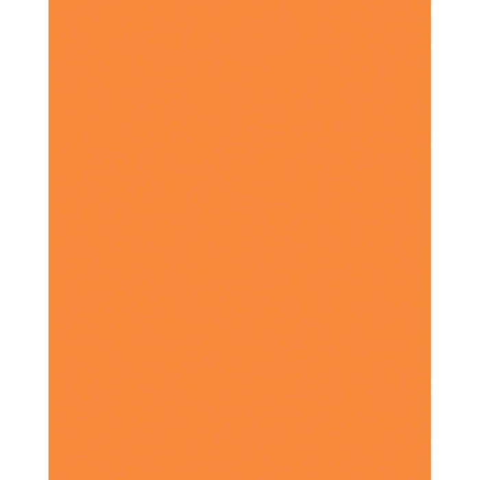 Neon Poster Board 22in x 28in Hot Red