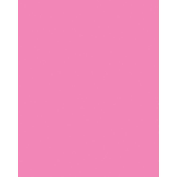 Neon Poster Board 22in x 28in Hot Pink