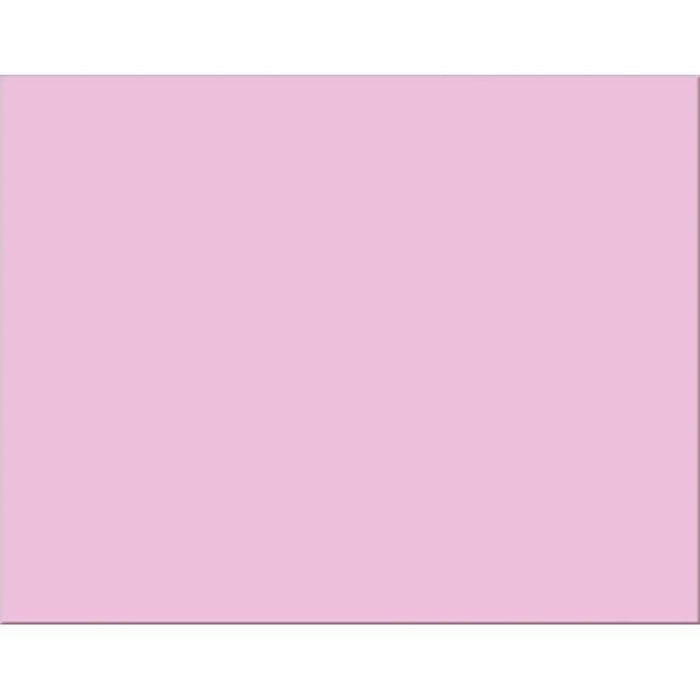 Railroad Poster Board 4 Ply 25ct Pink