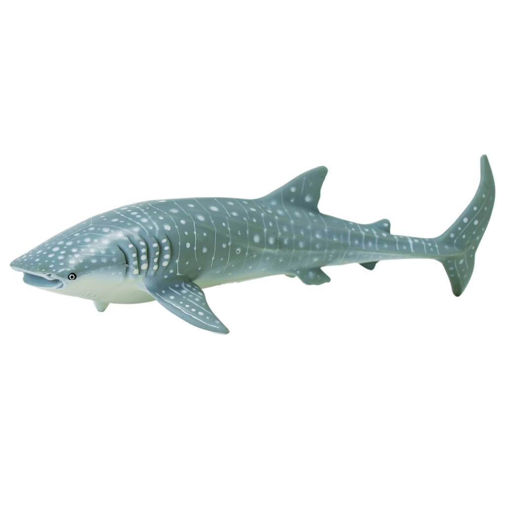 Whale Shark 