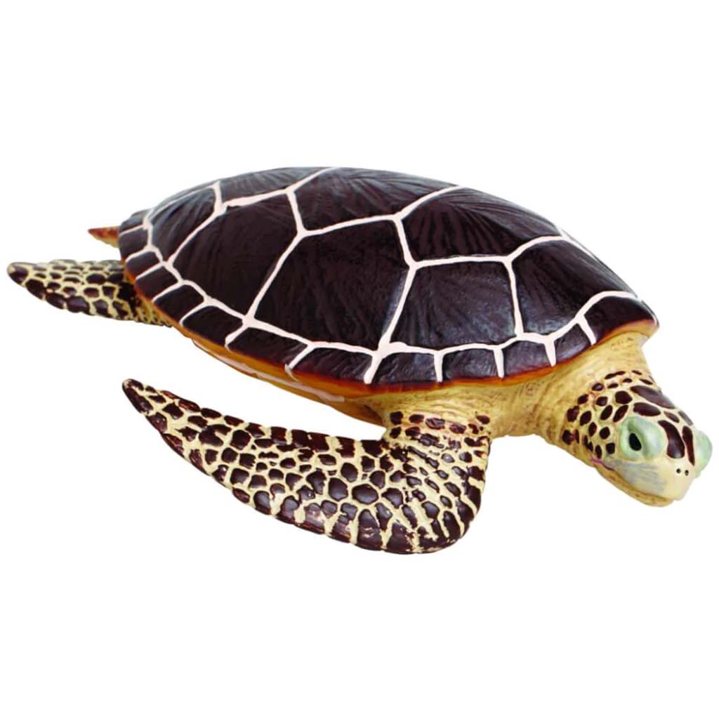 Sea Turtle 