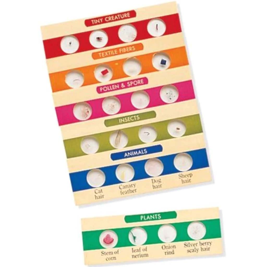 Prepared Specimen Slides Set I