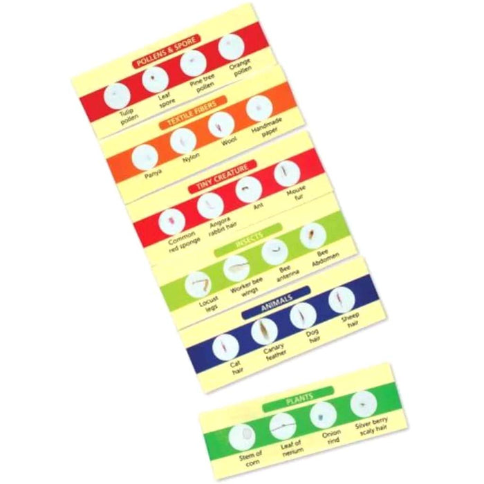Prepared Specimen Slides Set II