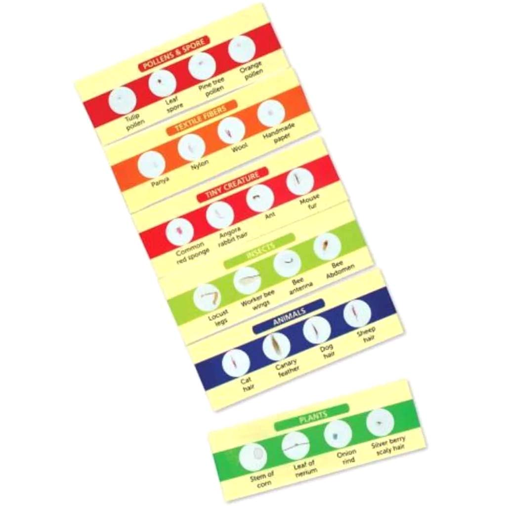 Prepared Specimen Slides Set II