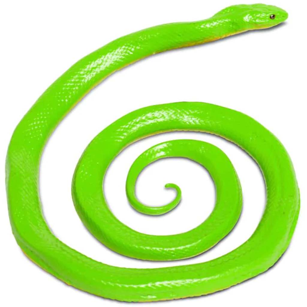 Rough Green Snake 