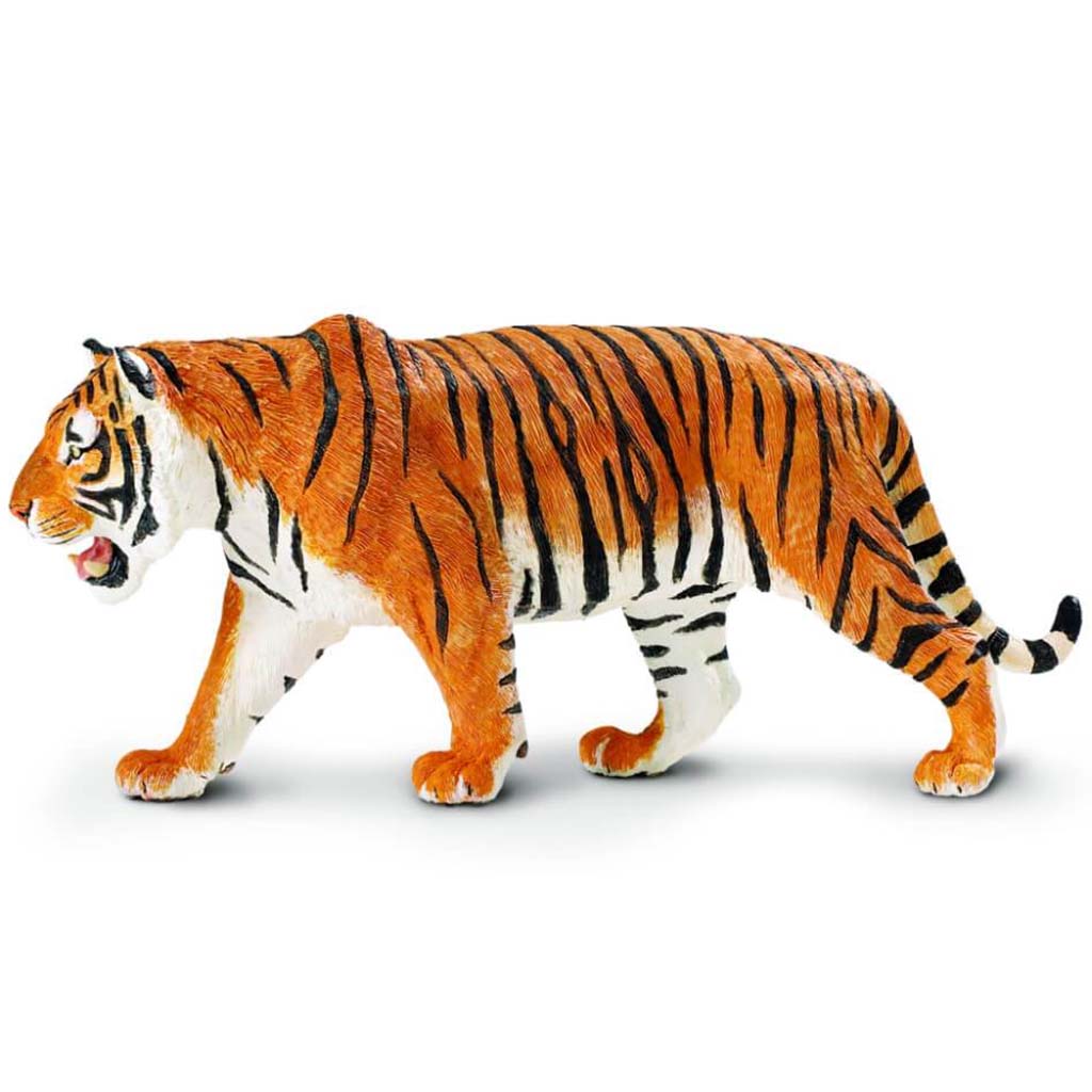 Siberian Tiger 