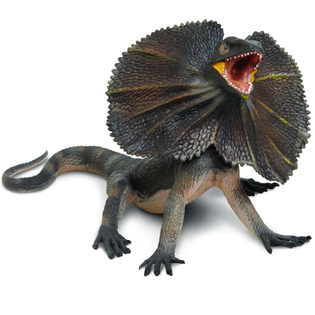 Frilled Lizard 