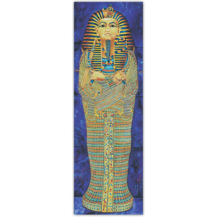 Egyptian Mummy Case Colossal Poster 
