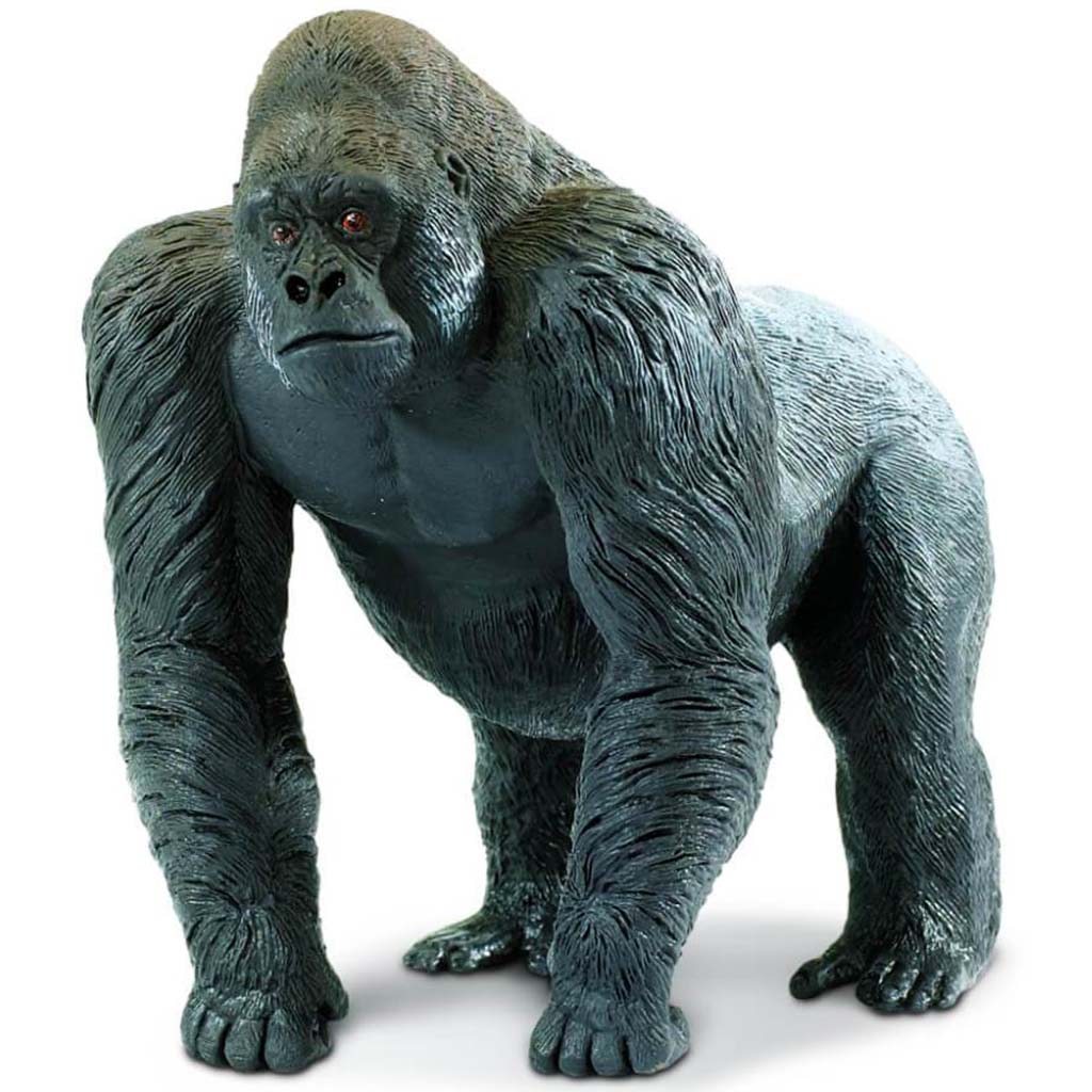 Silverback Gorilla 