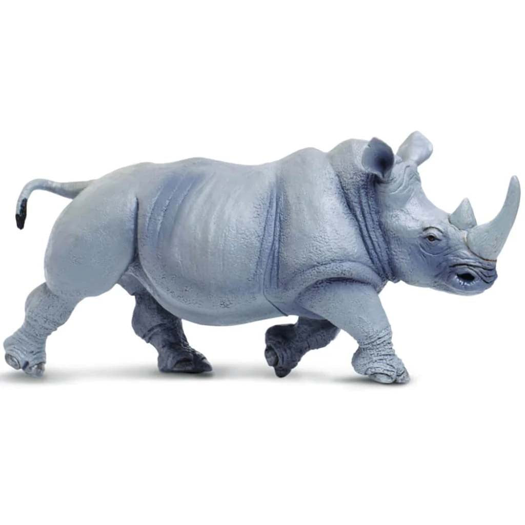 White Rhino 