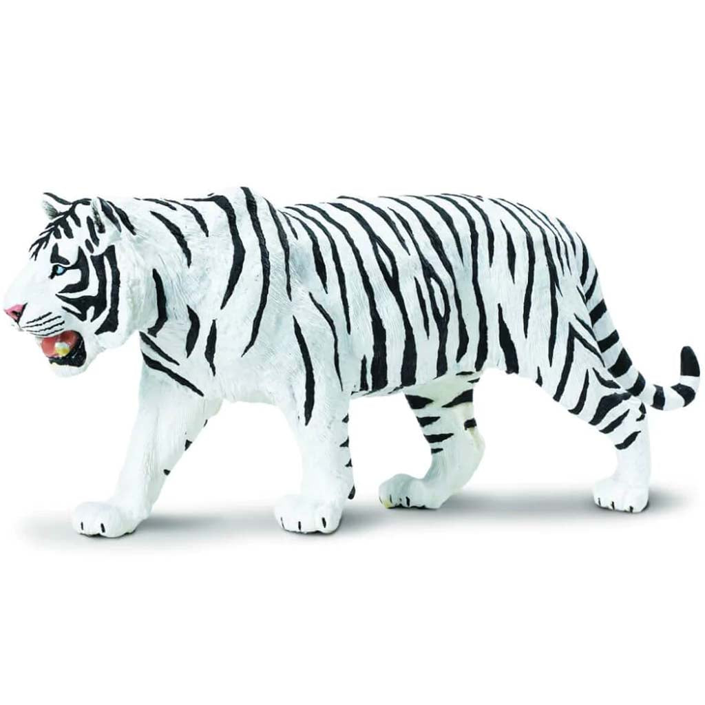 White Siberian Tiger 