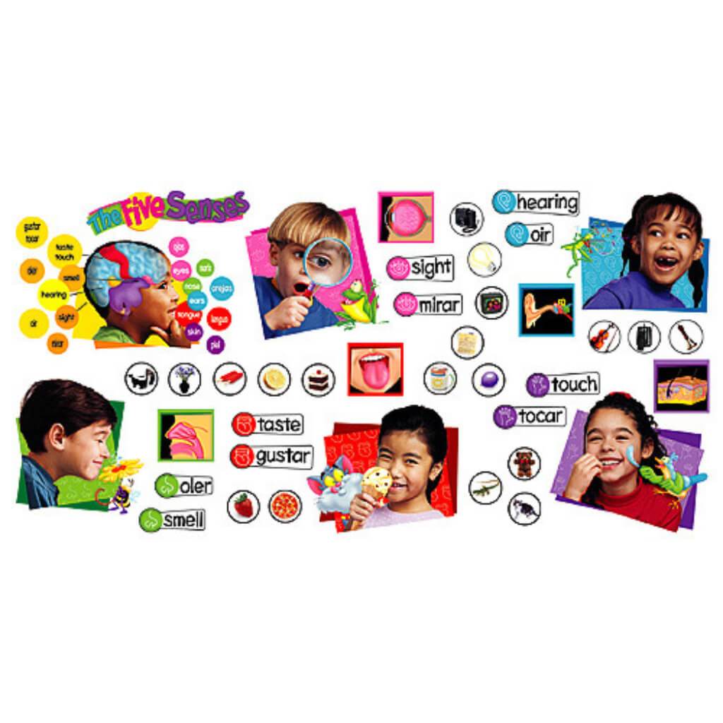 Five Senses Bulletin Board Set 