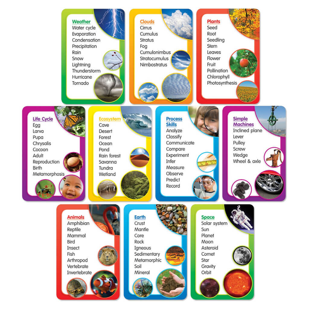 Science Word Banks Bulletin Board