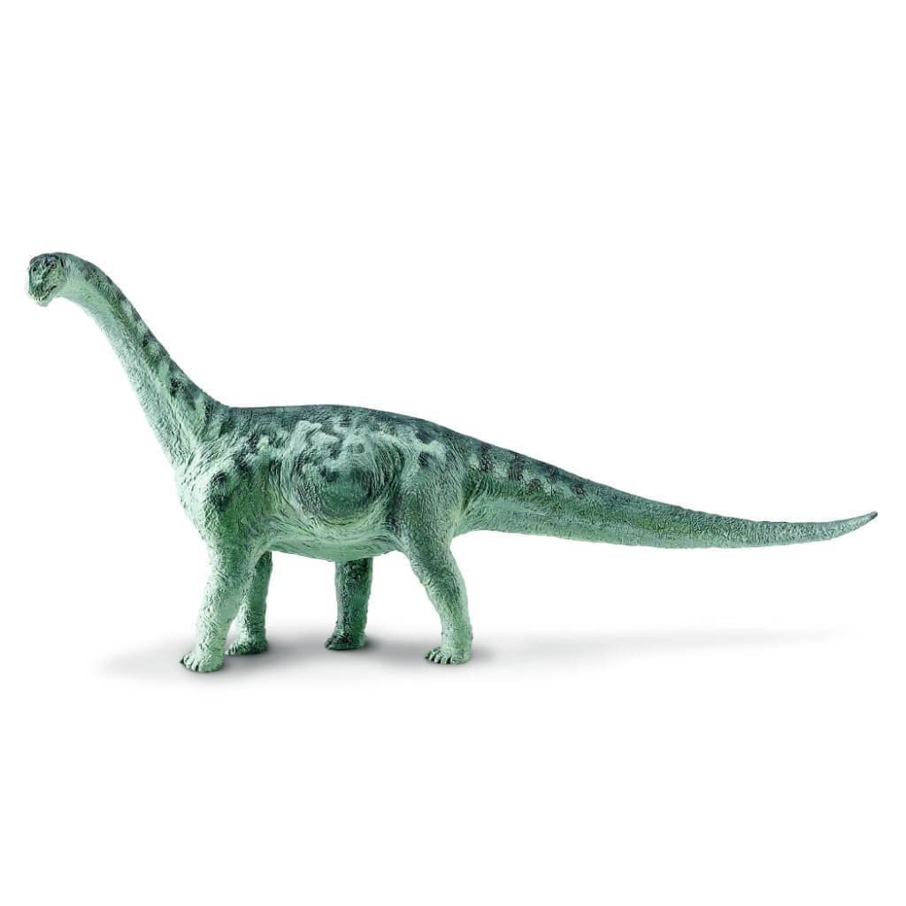 Camarasaurus 