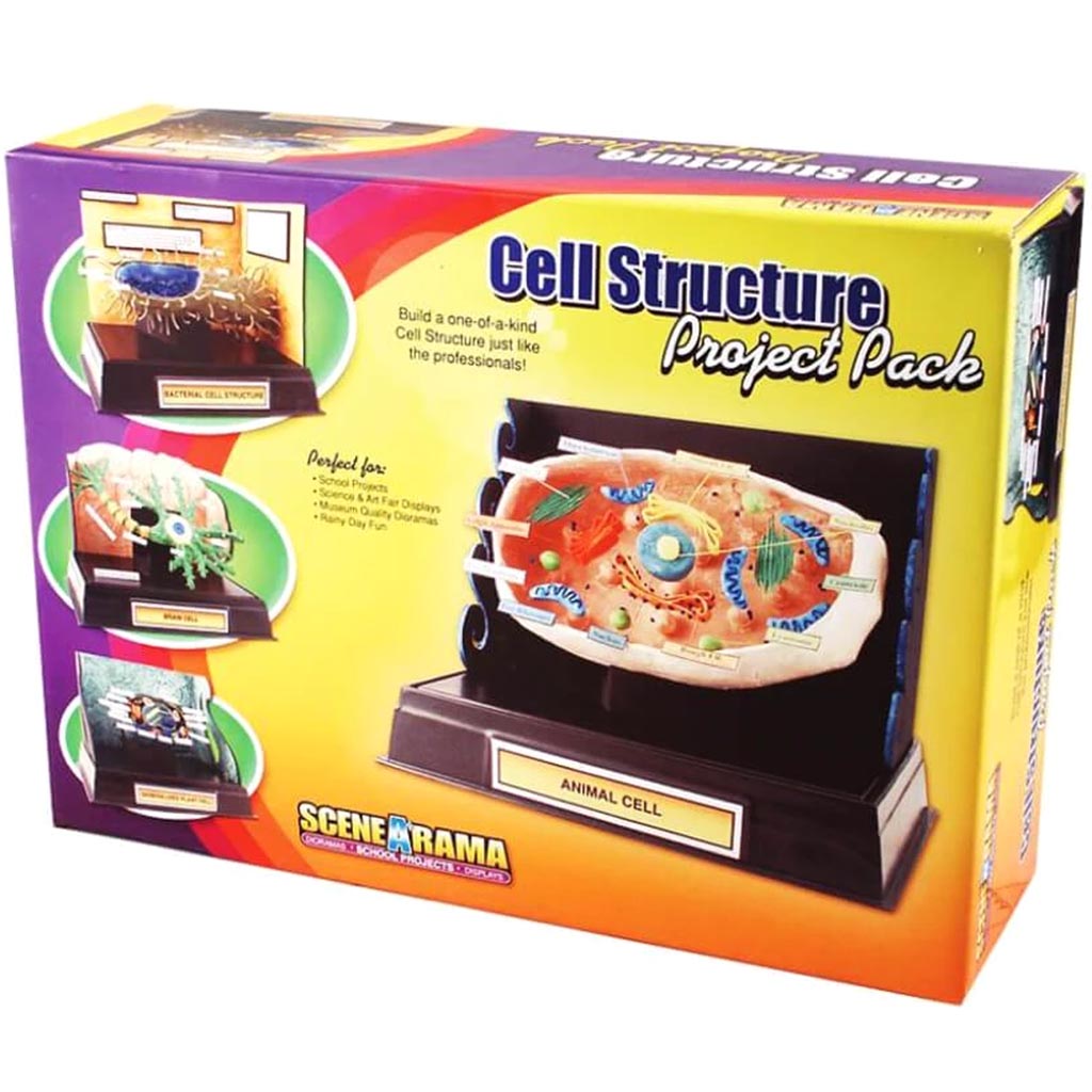 Cell Structure Project 