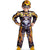 Bumblebee Muscle Costume