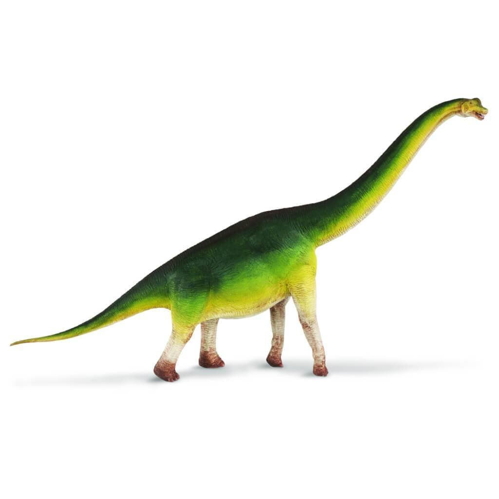 Brachiosaurus 