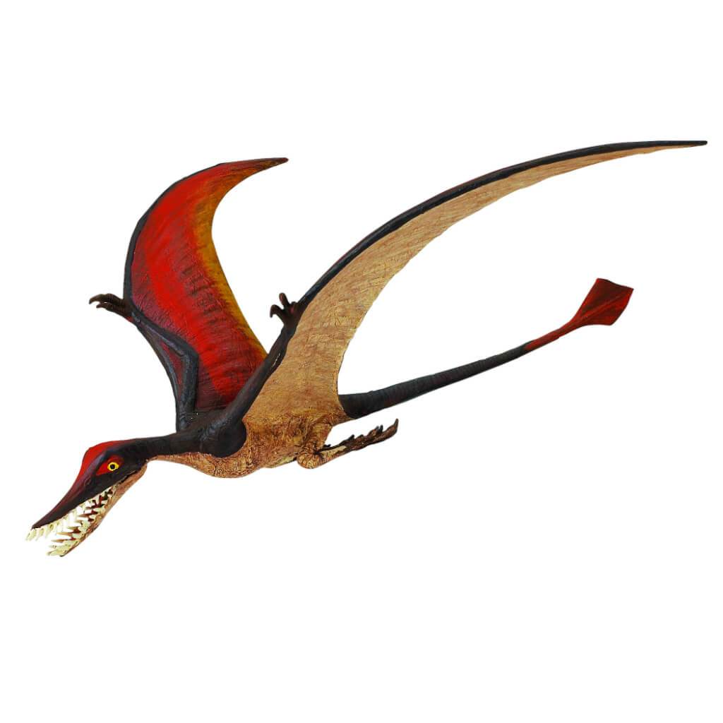 Rhamphorhynchus 