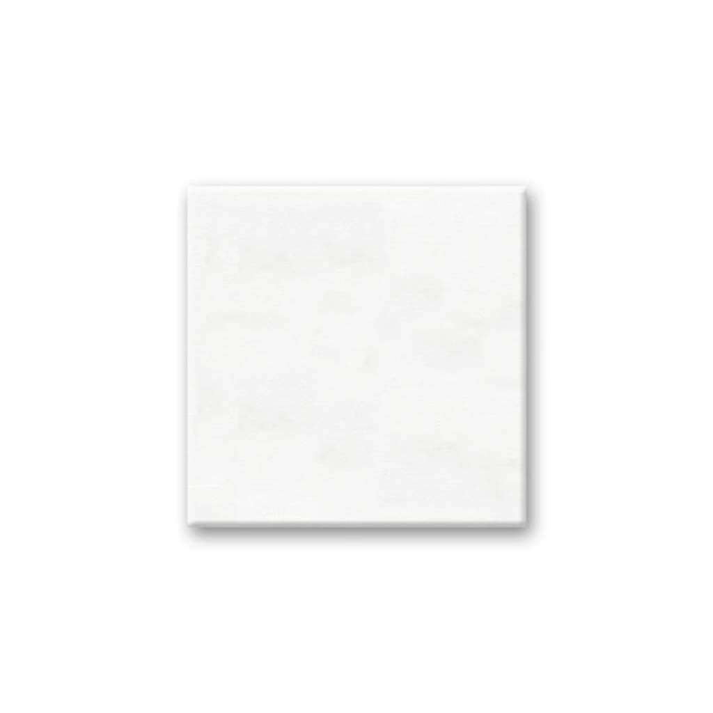 Stretch Artist Canvas: Square 8in x 8in Primed Back-Stapled