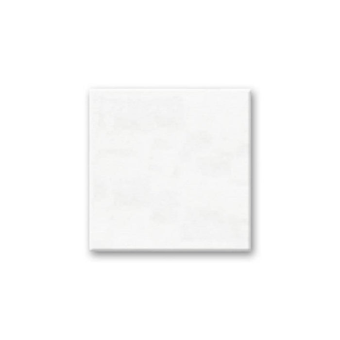 Stretch Artist Canvas: Square 8in x 8in Primed Back-Stapled