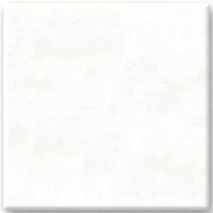 STRETCH ARTIST CANVAS 6IN X 6IN 