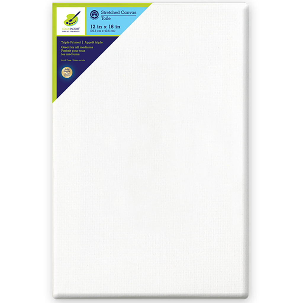 Stretch Artist Canvas: Rectangle 12in x 16in Primed Back Stapled