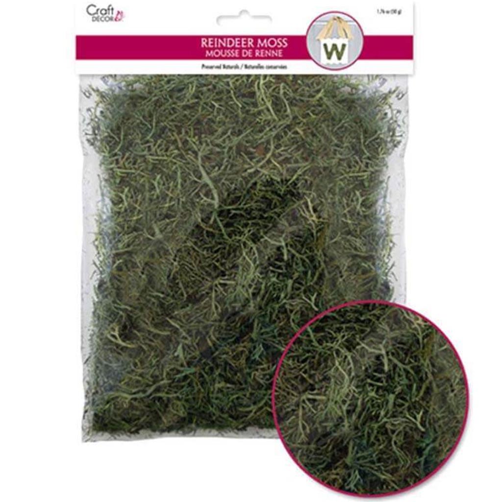 MOSS 50G GREEN 