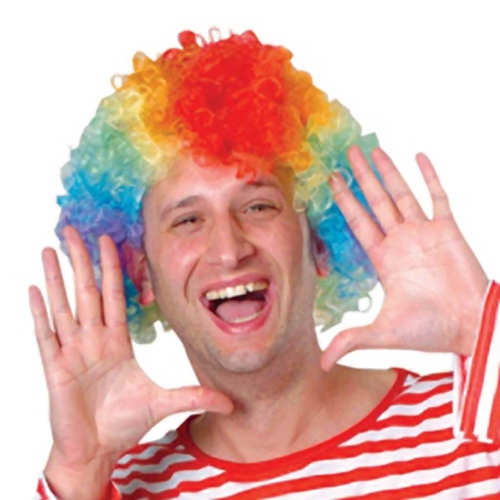 Rainbow Afro Costume Clown Wig 