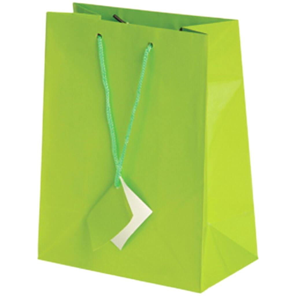 Light Green  Medium Gift Bag