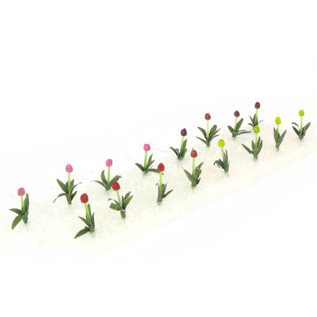 Plant Tulips Pack of 16 1.5in to 3in