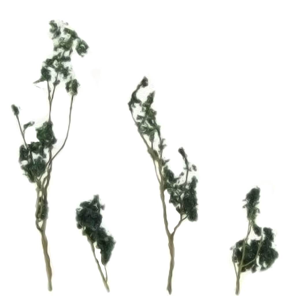 Wire Foliage Trees 1.5in-3in Dark Green