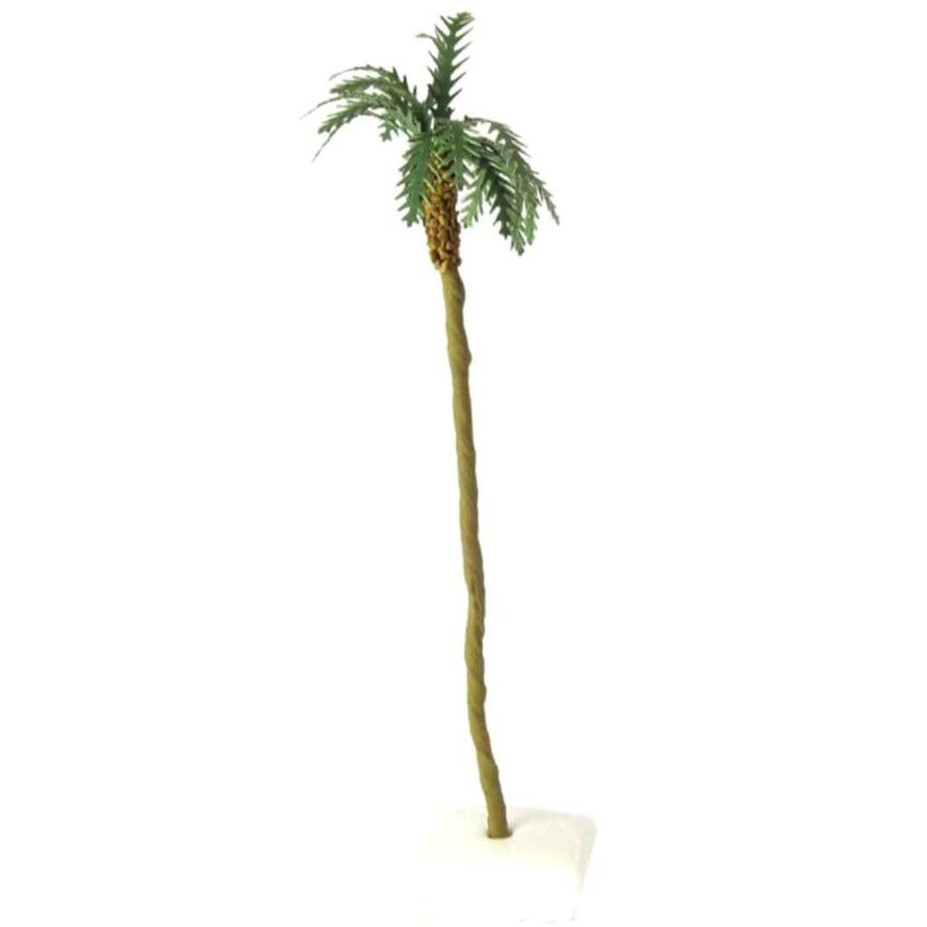 Trees Palm Pack of 4 4in To 5in