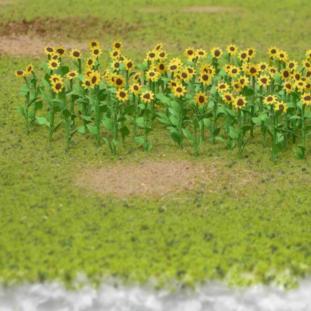 Plant Sunflower Pack of 8 1in