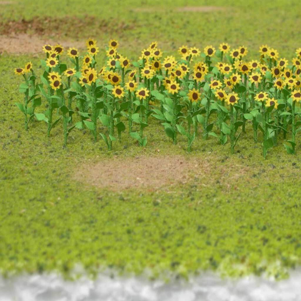 Plant Sunflower Pack of 8 1in