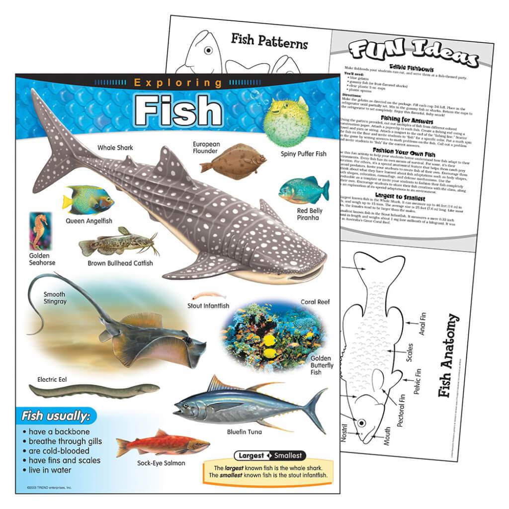 Exploring Fish Chart 