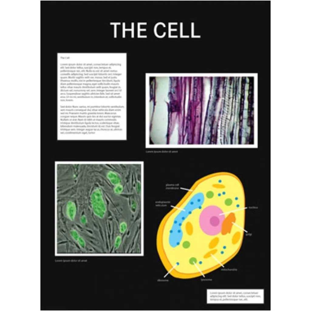 Art Presentation and Display