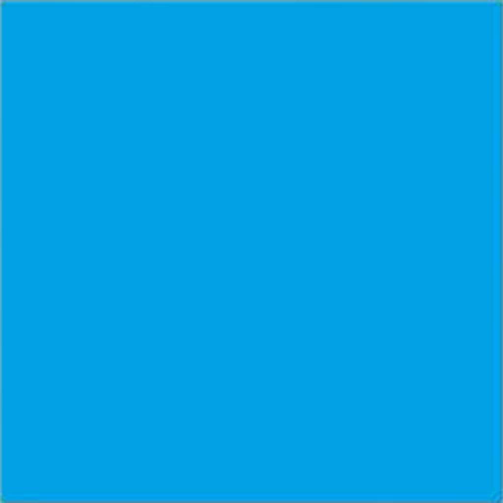 Pure Paper Tint Sheets 19in x 25.5in Bright Blue