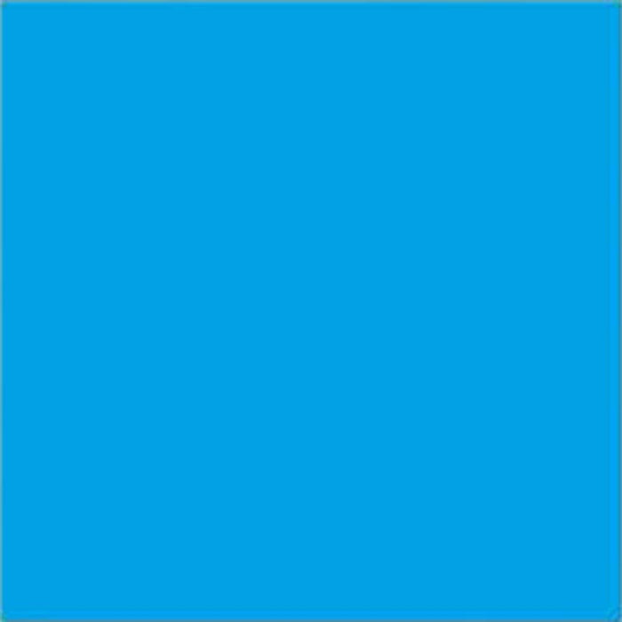 Pure Paper Tint Sheets 19in x 25.5in Bright Blue