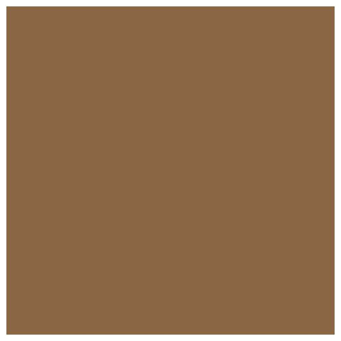 Pure Paper Tint Sheets 19in x 25.5in Dark Brown