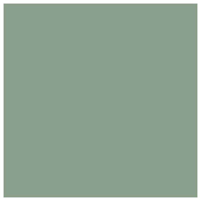 Pure Paper Tint Sheets 19in x 25.5in Sage