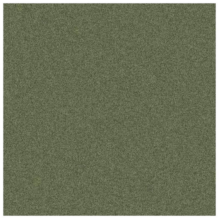 Pure Paper Tint Sheets 19in x 25.5in Ivy