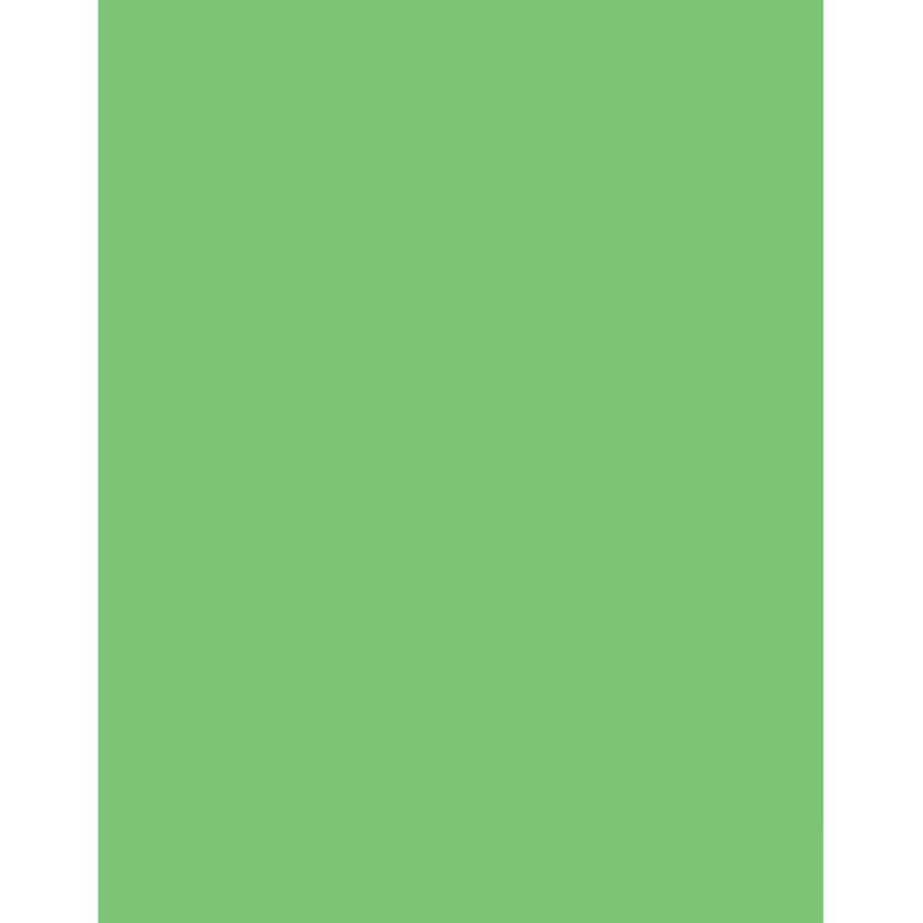 Coated Poster Board 22in x 28in Light Green
