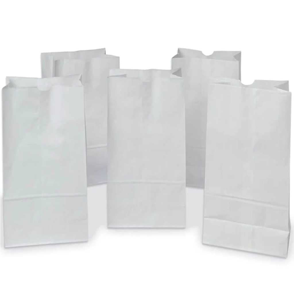 Rainbow Kraft Bags 7in x 14in White