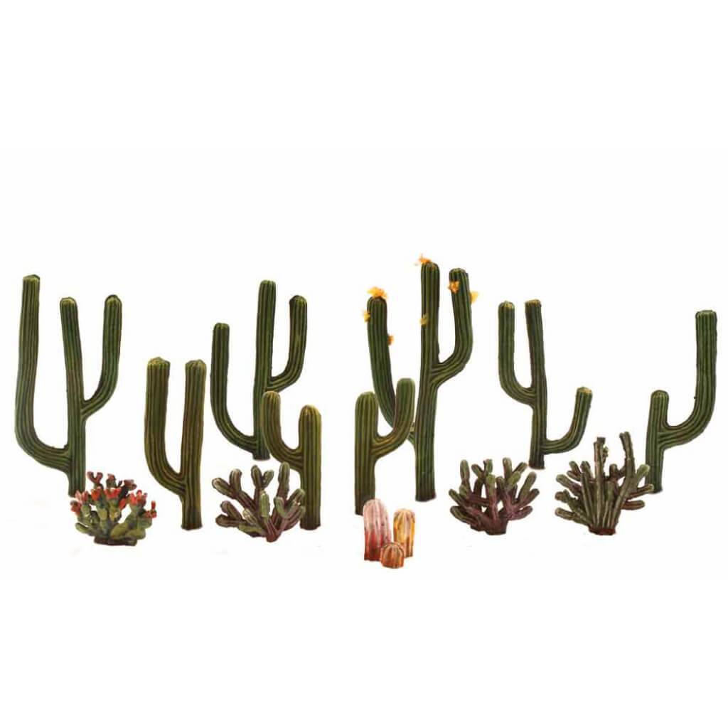 Cactus Plants 