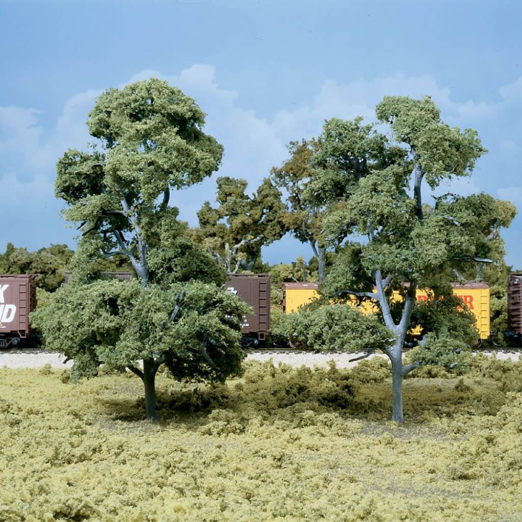 Big Old Trees 7in to 7 1/2in 