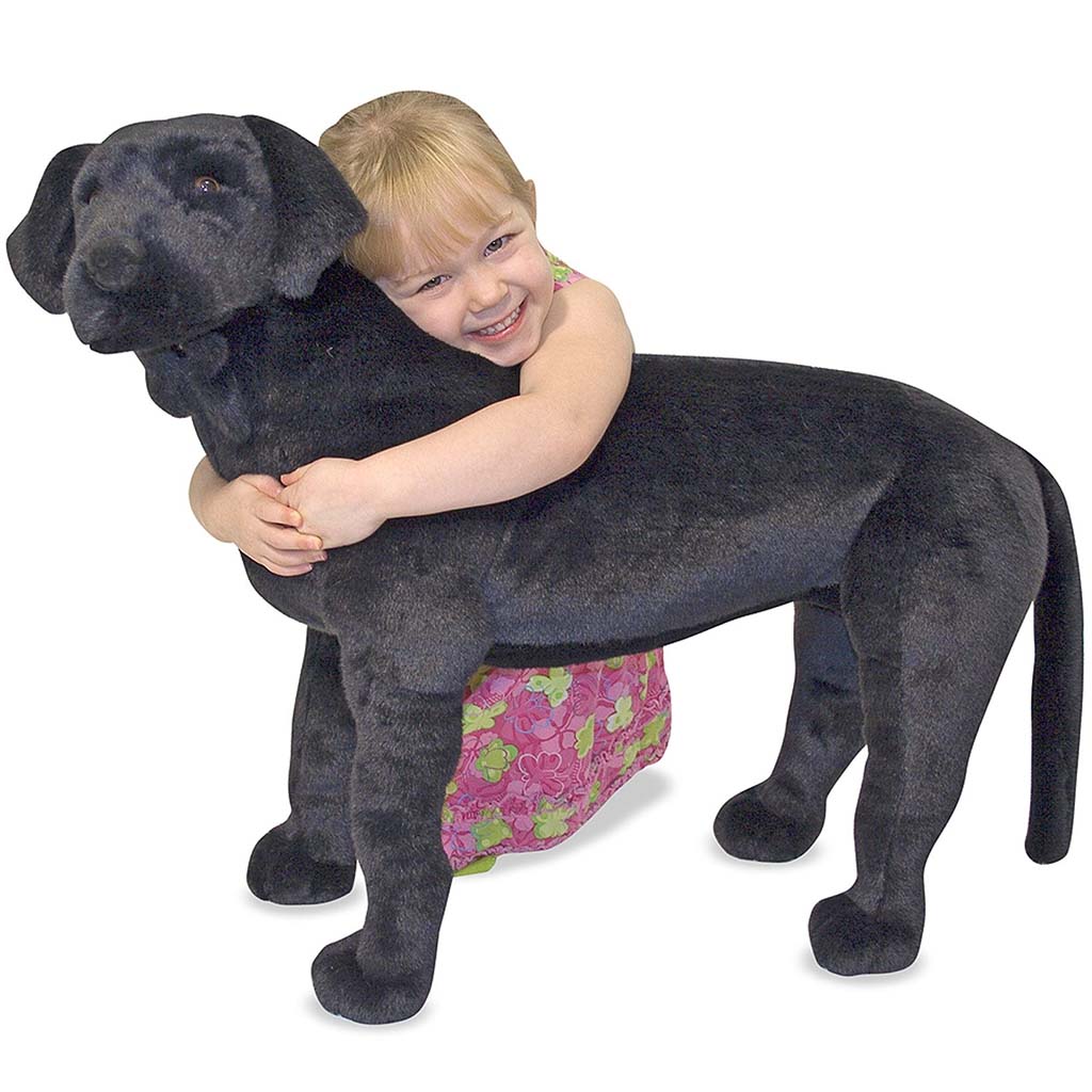 Labrador-Plush Black 